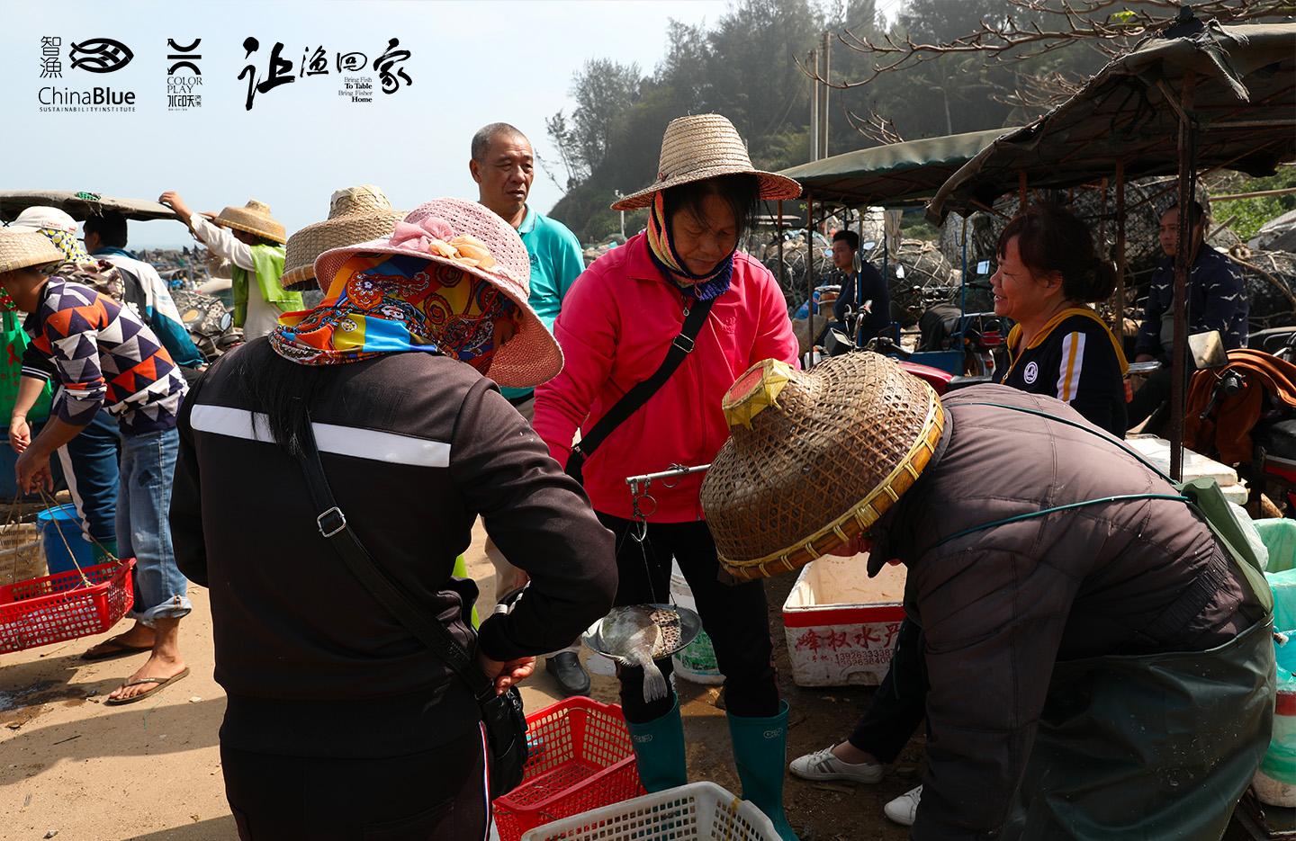 渔村影话74.jpg